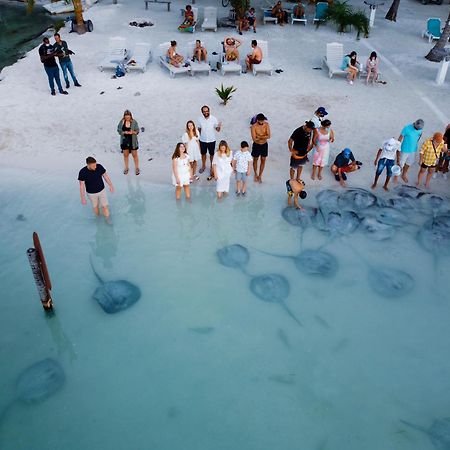 Hidden Treasure Vacation Home Blue Bay Cottage Caye Caulker Ngoại thất bức ảnh